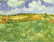 Vincent Van Gogh Plain Near Auvers USA oil painting reproduction